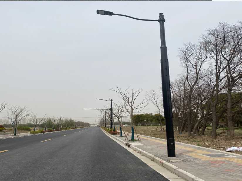 通榆县上海综合杆 太阳能路灯工程